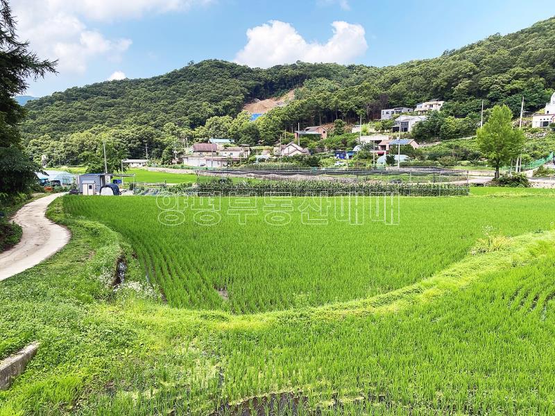 양평군 양서면 도곡리 농지_3